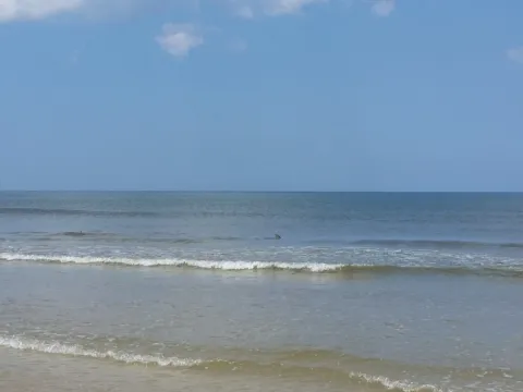 Surf rolling onto a flat, sandy shoreline.