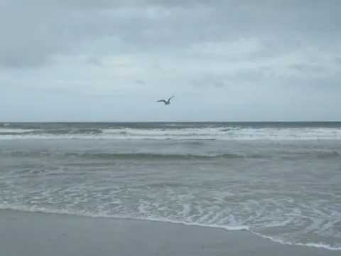 Surf breaking on the beach on a grey day.