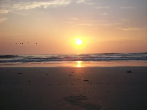 The sun rising over the water from a quiet beach